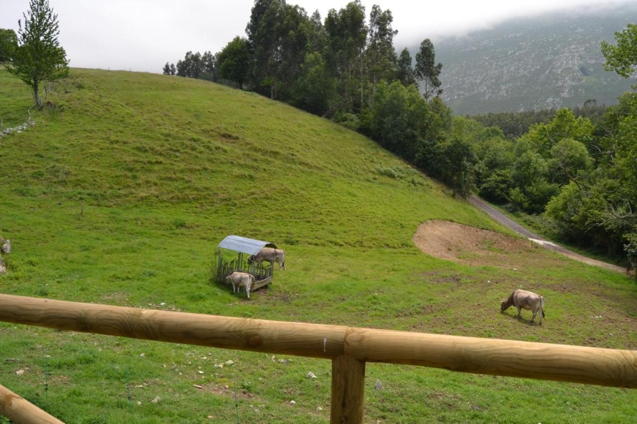 Ruiloba Ii Ribadesella